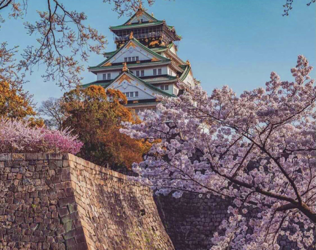 大阪旅遊 - 天守閣櫻花