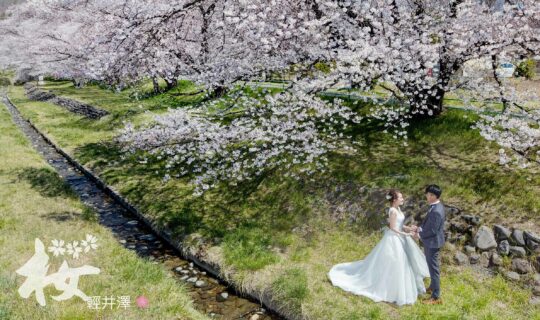 日本 Pre wedding 推介-日本婚紗相集